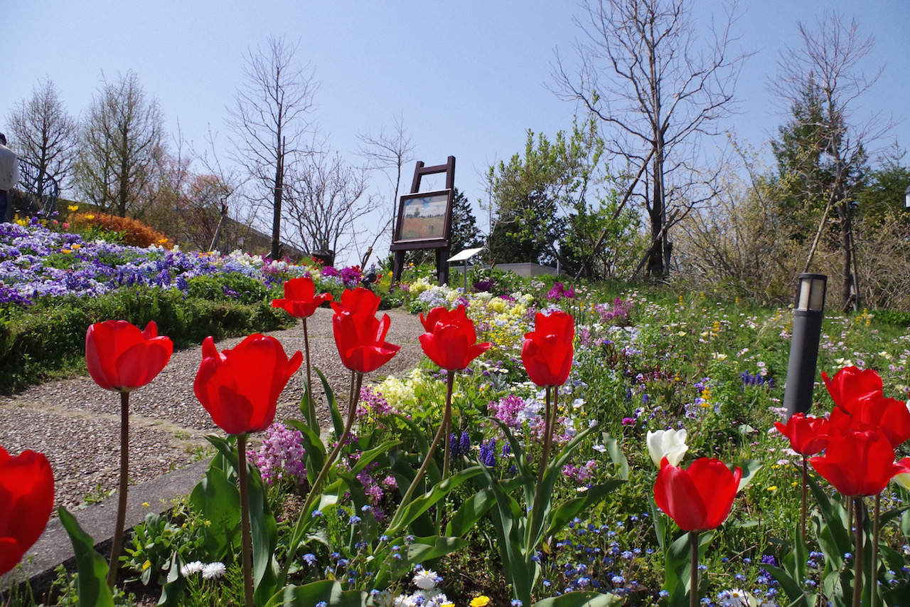 ガーデンミュージアム比叡は山の上にある植物園 京都page