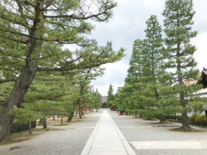 妙心寺の参道