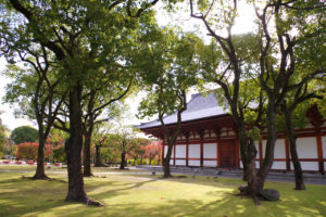 東寺境内の風景