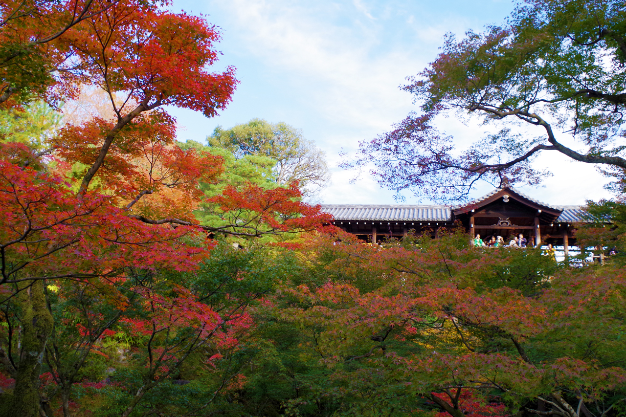東福寺の通天橋と紅葉