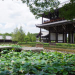 東福寺の三門と池の蓮