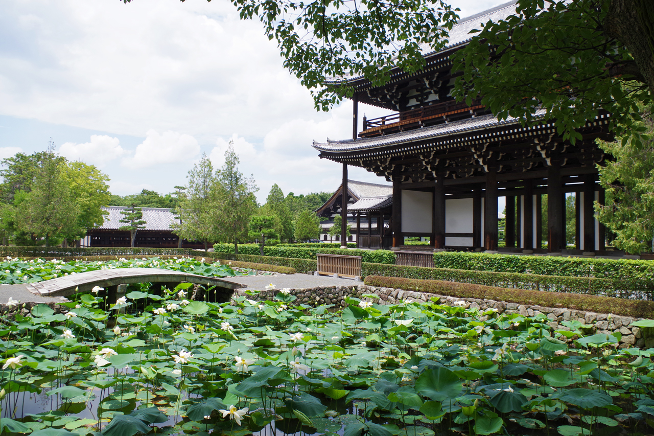東福寺の三門と池の蓮