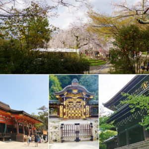 円山公園周辺のスポット