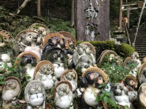 狸谷山不動院 狸