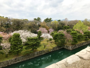 二条城の天守台からの風景