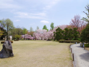 二条城の風景