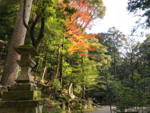崇道神社の境内の紅葉
