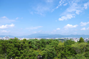 南禅寺三門の五鳳桜からの眺め