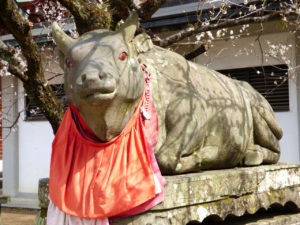 北野天満宮の牛