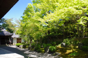 八坂の塔（法観寺）の庭