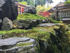 古知谷阿弥陀寺の苔