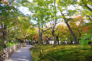 東福寺の紅葉と有料の庭