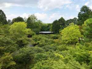 東福寺の通天橋から臥雲橋の緑の風景