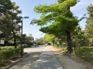 建仁寺の境内通路