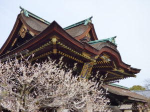 北野天満宮の桜と三光門